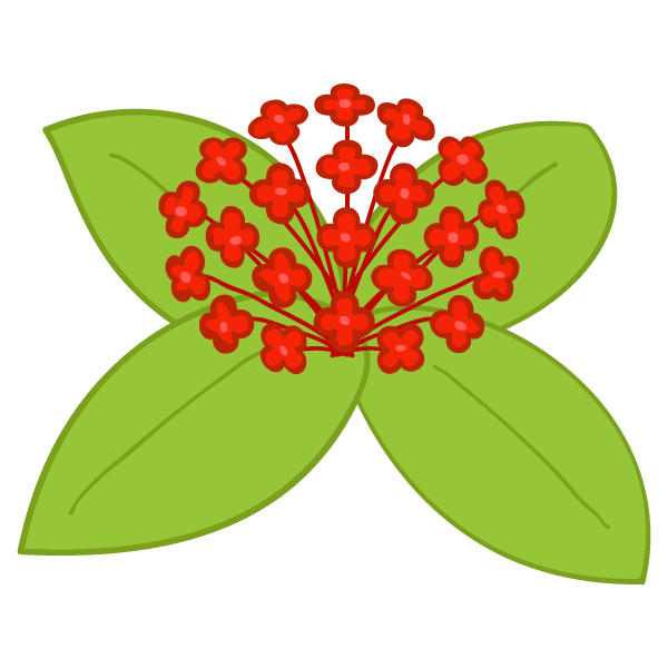 Isokura flower