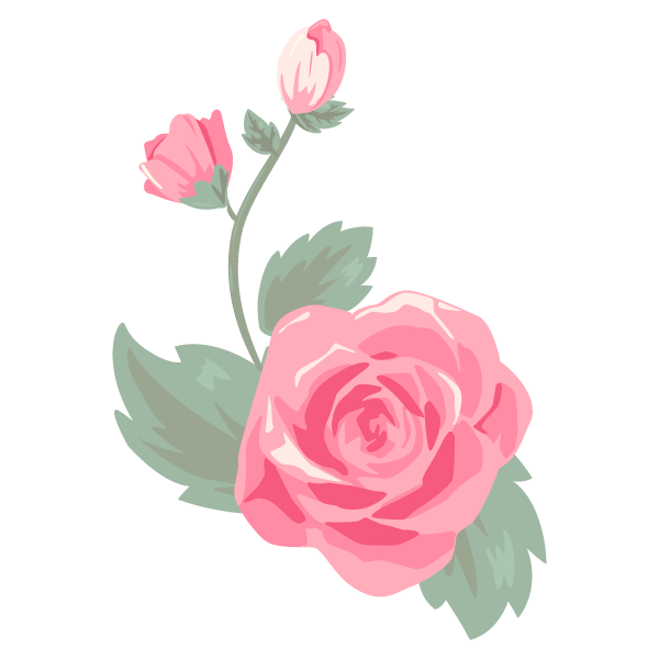 Rose flower material