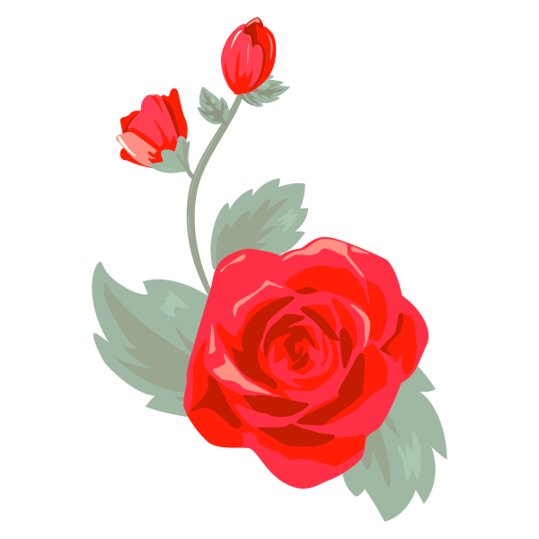 Rose flower material