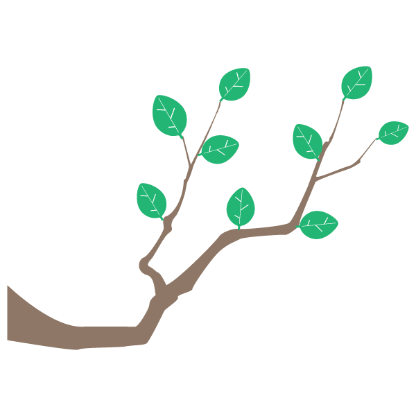 Tree branch