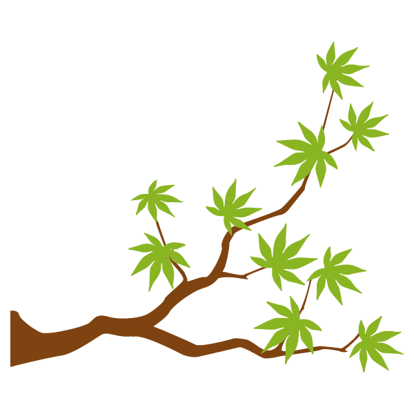 Maple branch
