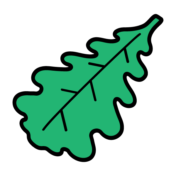 Oak leaf