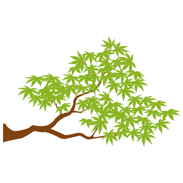 Maple branch