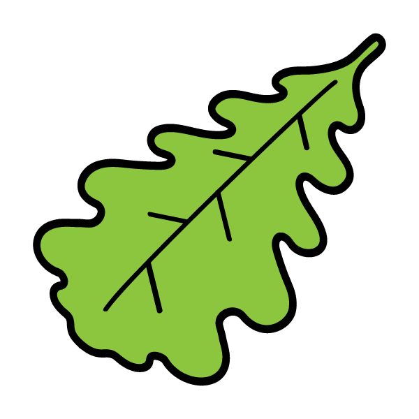 Oak leaf