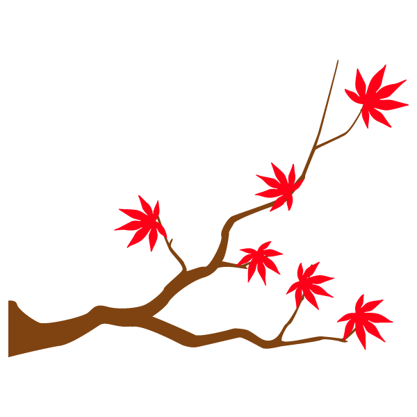 Maple branch