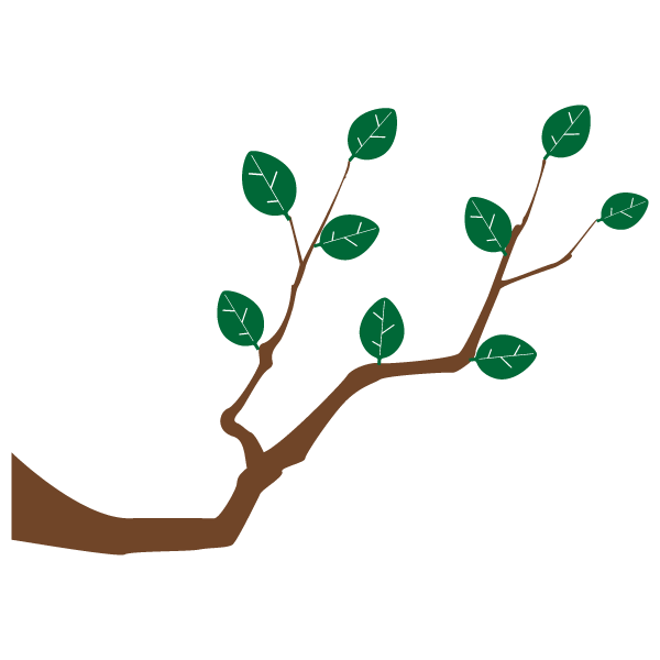 Tree branch