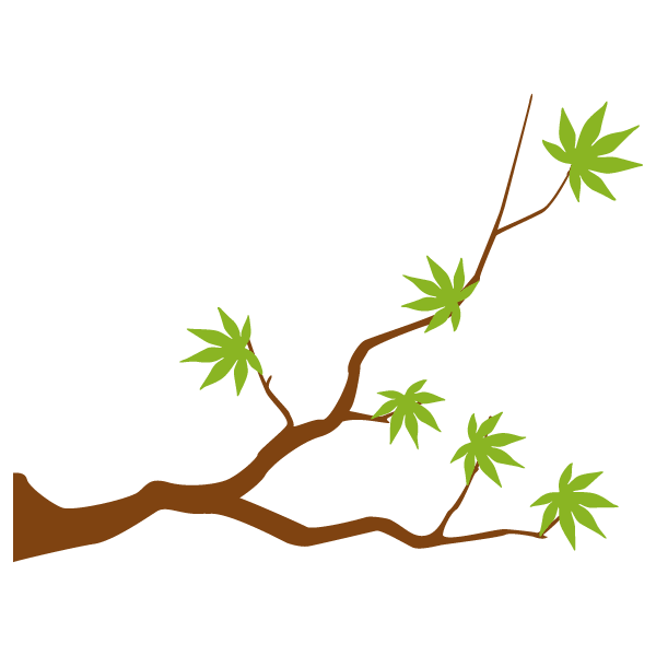 Maple branch