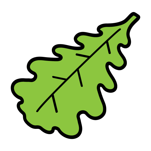 Oak leaf