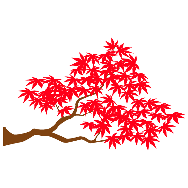 Maple branch