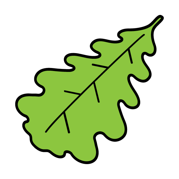 Oak leaf