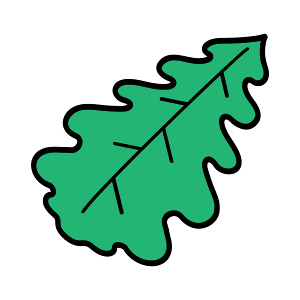 Oak leaf