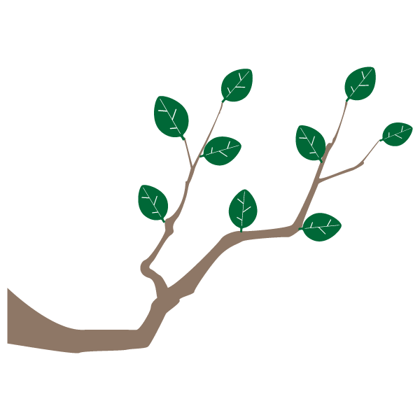 Tree branch