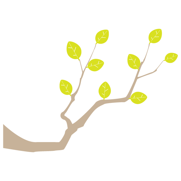 Tree branch