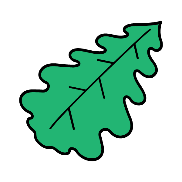 Oak leaf