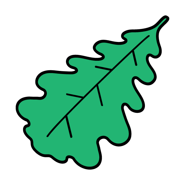 Oak leaf