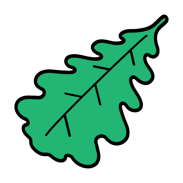 Oak leaf