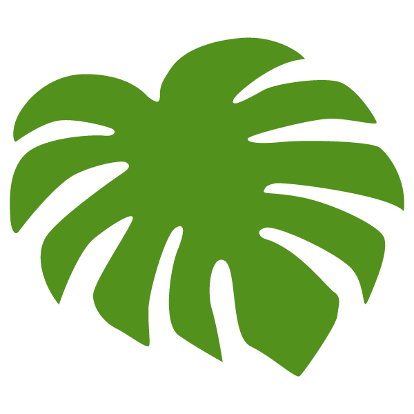 Monstera leaf material