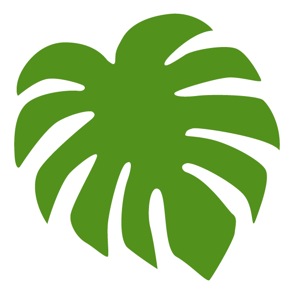 Monstera leaf material