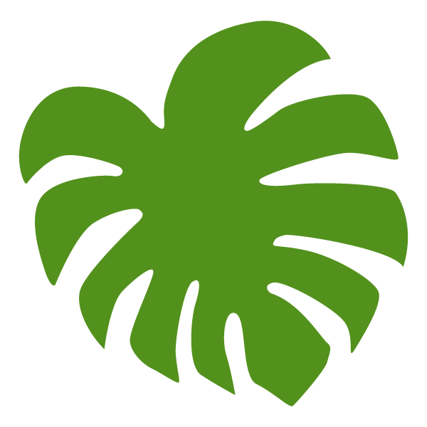 Monstera leaf material