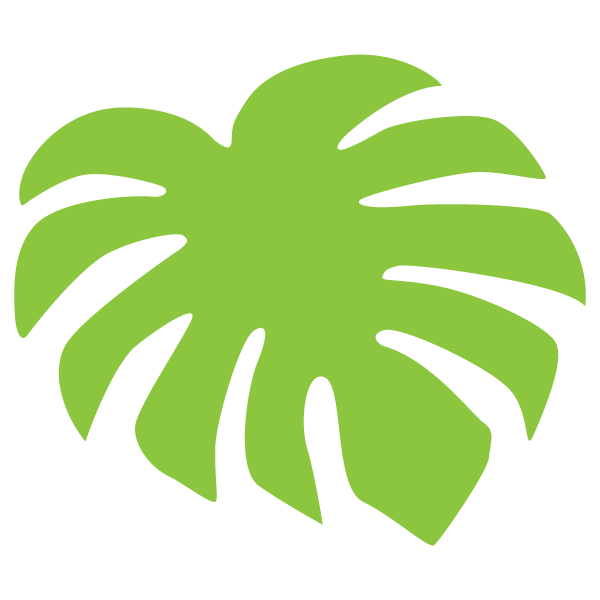 Monstera leaf material