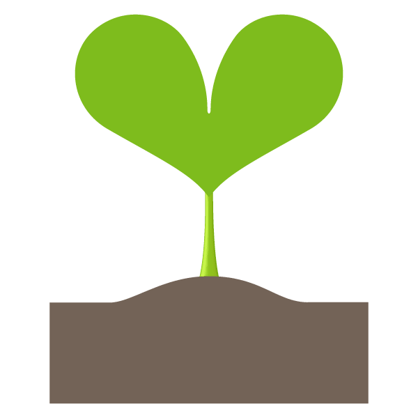 Ornamental plants