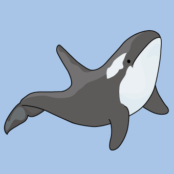 Orca