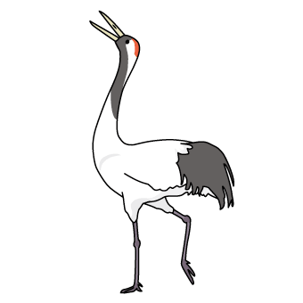 Crane crowing