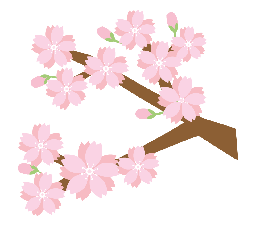 Branch and cherry blossom