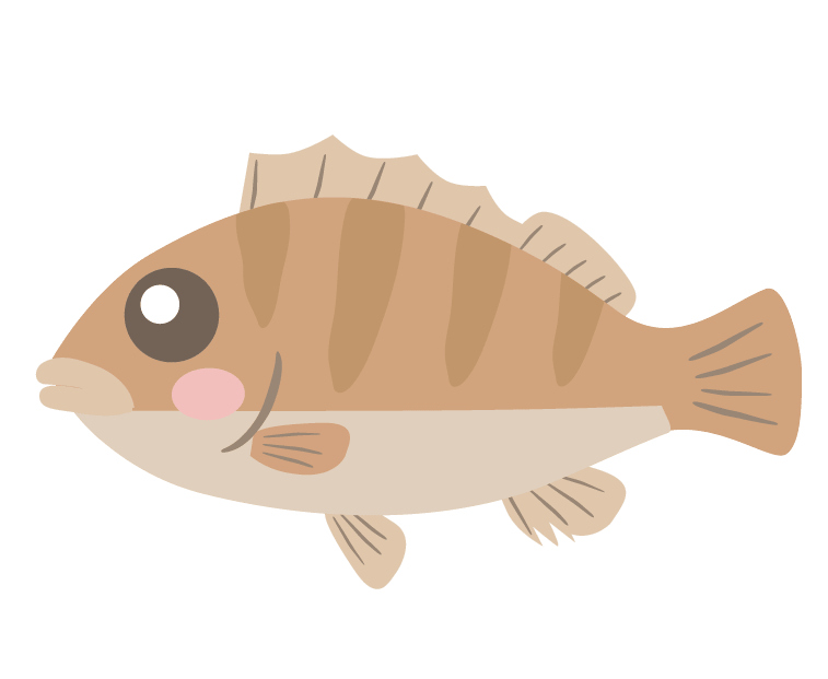 Cute rockfish