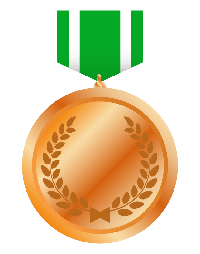 Medal (bronze)