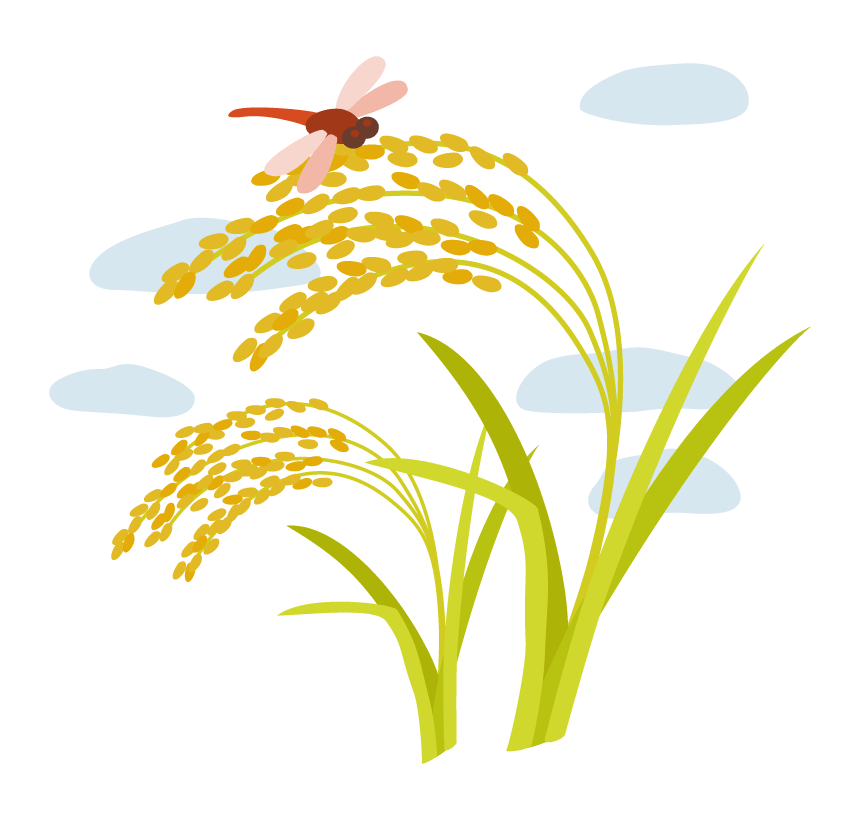 Red dragonfly perched on Inaho