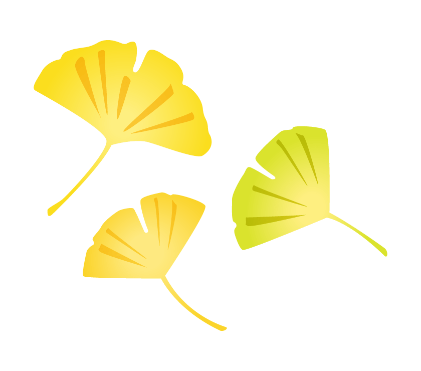 3 ginkgo leaves