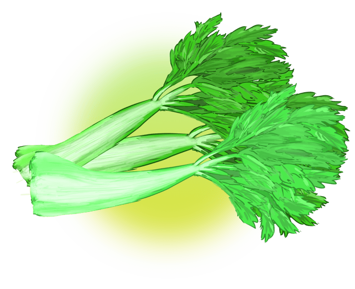 Celery-Fresh fresh vegetables