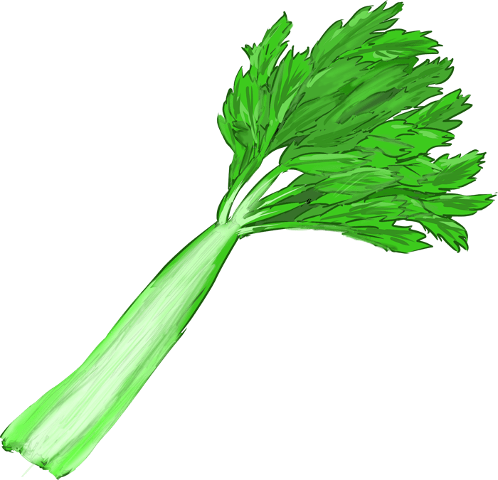 Celery-Fresh fresh vegetables