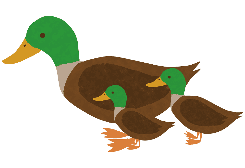 Cute duck-Funny bird material carrying green onions