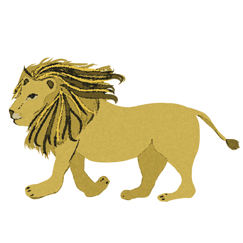 Lion-Cute-Cool animal material collection