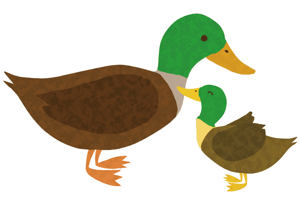 Cute duck-Funny bird material carrying green onions