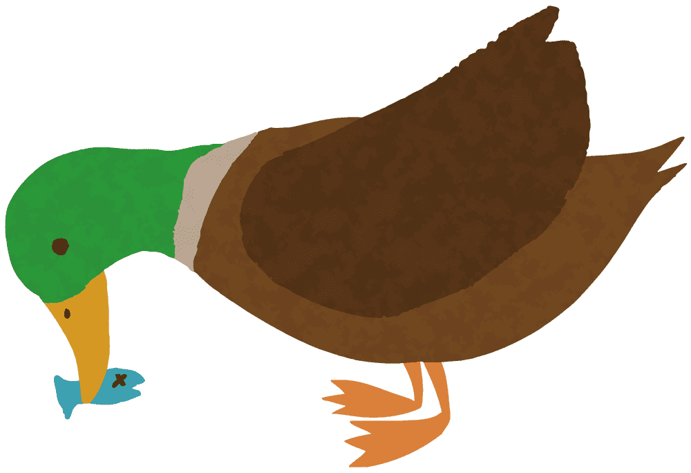 Cute duck-Funny bird material carrying green onions