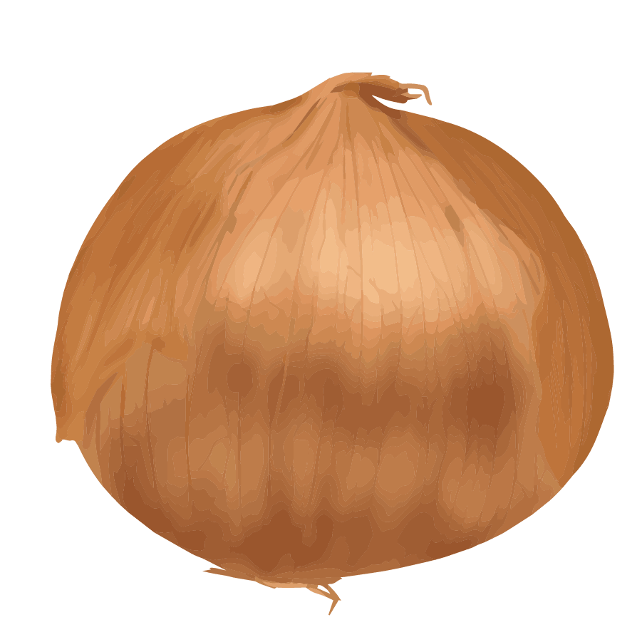 Vegetable illustration-Free hand-painted cute