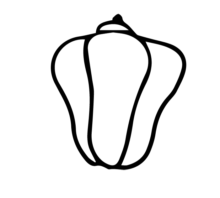 Vegetable illustration-Free hand-painted cute