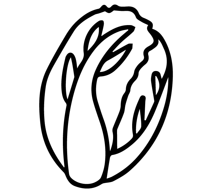 Vegetable illustration-Free hand-painted cute