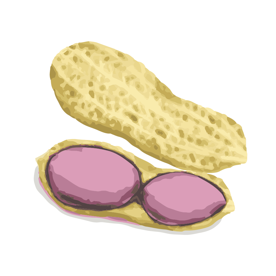 Vegetable illustration-Free hand-painted cute