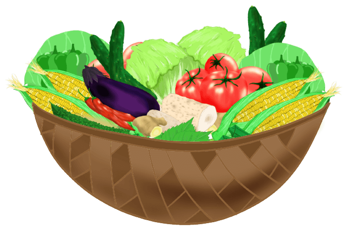 Vegetable illustration-Free hand-painted cute