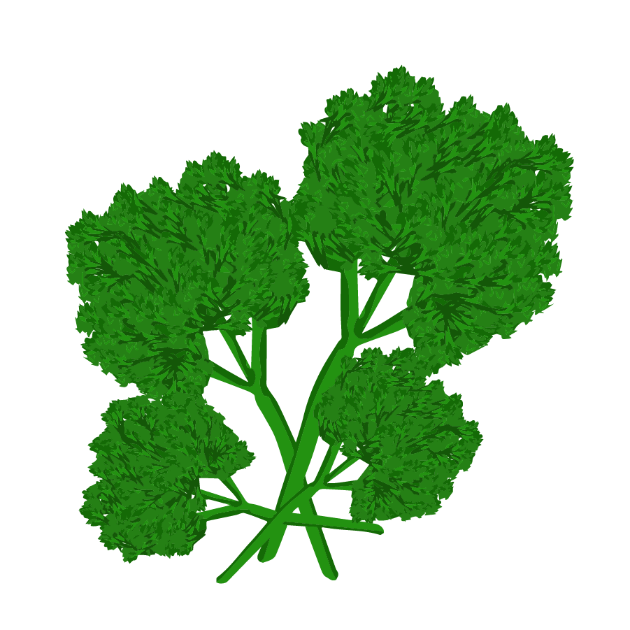 Vegetable illustration-Free hand-painted cute