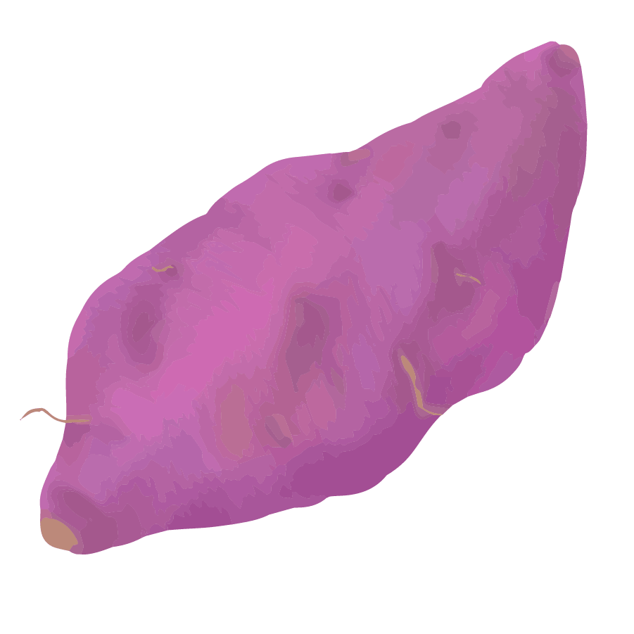 Vegetable illustration-Free hand-painted cute