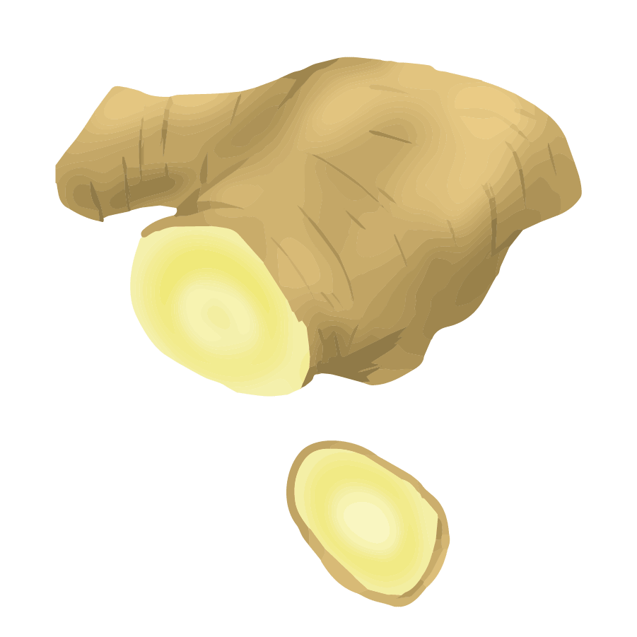 Vegetable illustration-Free hand-painted cute