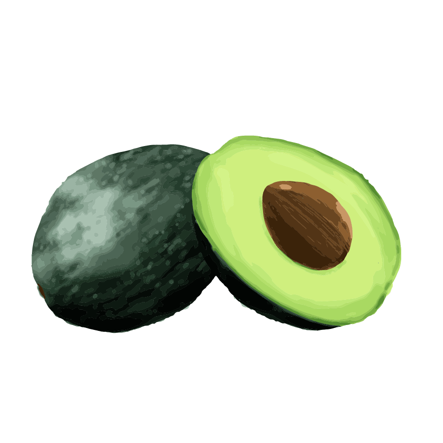 Vegetable illustration-Free hand-painted cute