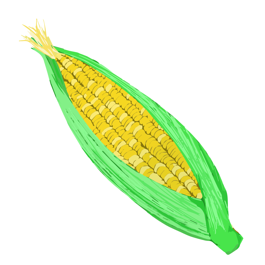 Vegetable illustration-Free hand-painted cute