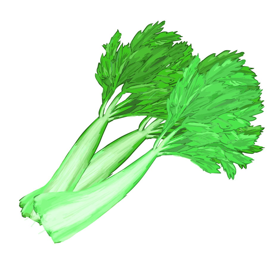 Vegetable illustration-Free hand-painted cute