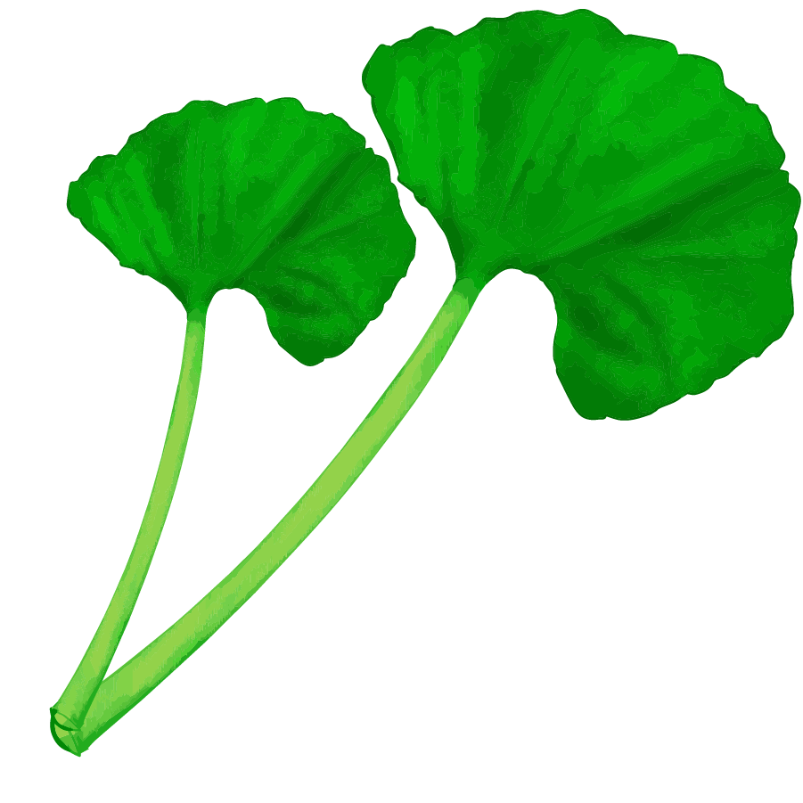 Vegetable illustration-Free hand-painted cute